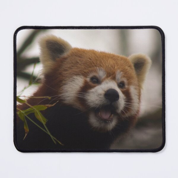 Item preview, Cheeky Panda designed and sold by Odysseylens.