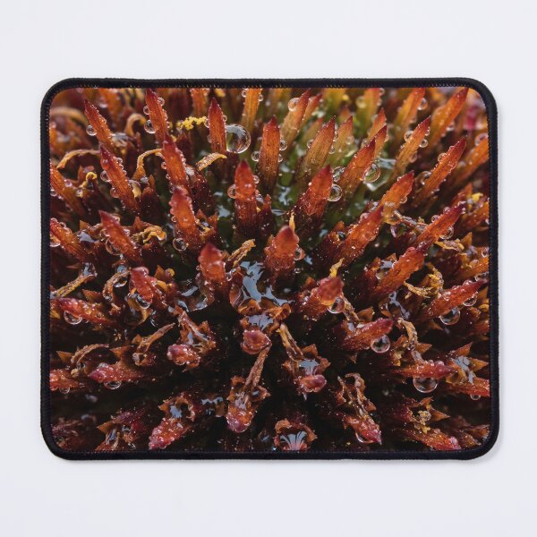 Item preview, The Morning Came in Beads designed and sold by ASSEMBLE WONDER.