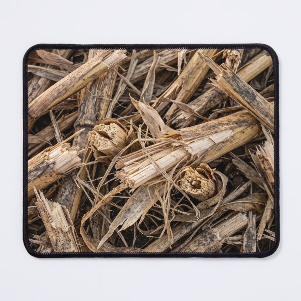 Item preview, What the Field Left Behind designed and sold by ASSEMBLE WONDER.
