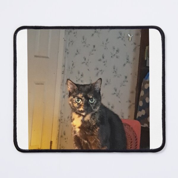 Item preview, Cat Judging you designed and sold by CosplayDreams16.