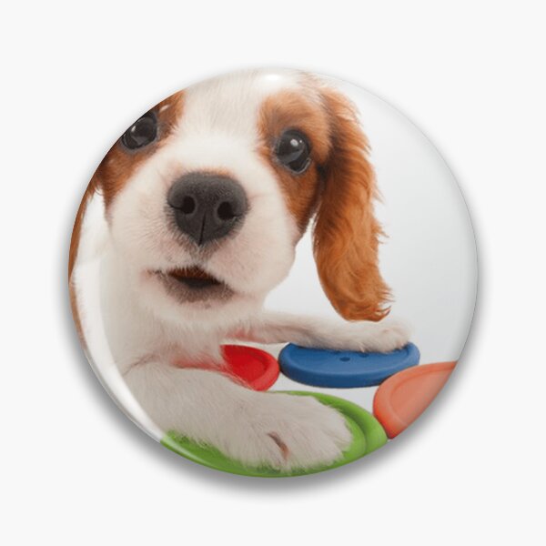 Item preview, Cavalier King Charles designed and sold by KOTB10.