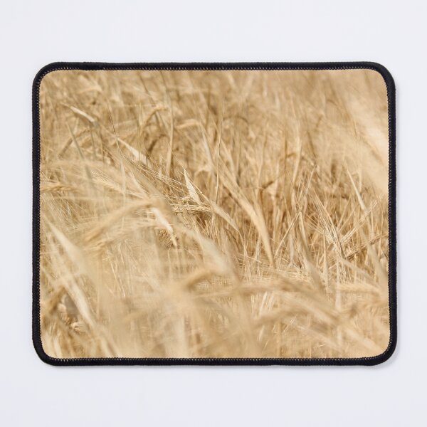 Item preview, Golden Hour Wheat Field Minimalist Decor designed and sold by Guim-de-Pablos.