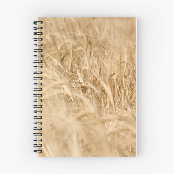 Item preview, Golden Hour Wheat Field Minimalist Decor designed and sold by Guim-de-Pablos.