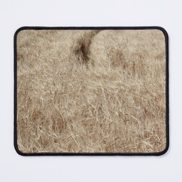Item preview, Bird Flying Over Golden Wheat Field designed and sold by Guim-de-Pablos.