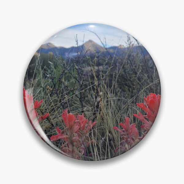 Artikelvorschau, Castilleja Indian Paintbrush entworfen und verkauft von Mystical Fairy Forage.
