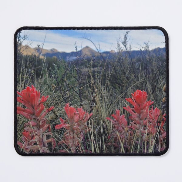 Item preview, Castilleja Indian Paintbrush designed and sold by Mystical Fairy Forage.