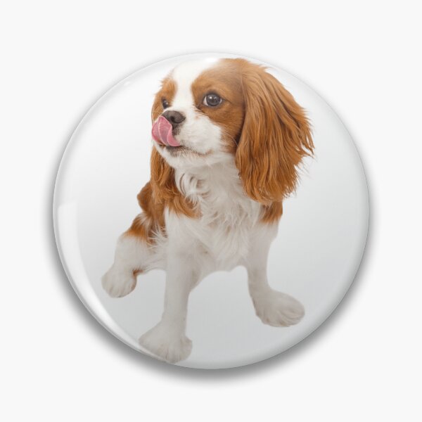 Item preview, Cavalier King Charles designed and sold by KOTB10.