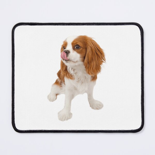 Item preview, Cavalier King Charles designed and sold by KOTB10.