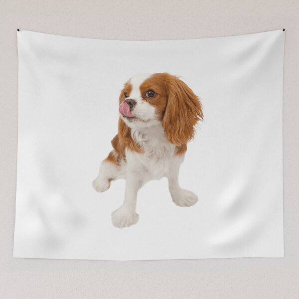 Item preview, Cavalier King Charles designed and sold by KOTB10.