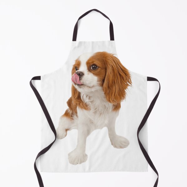Item preview, Cavalier King Charles designed and sold by KOTB10.