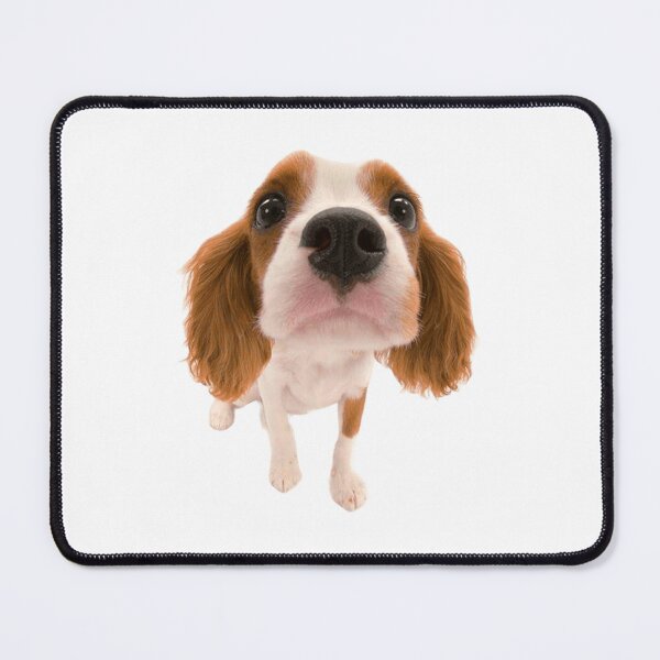 Item preview, Cavalier King Charles designed and sold by KOTB10.
