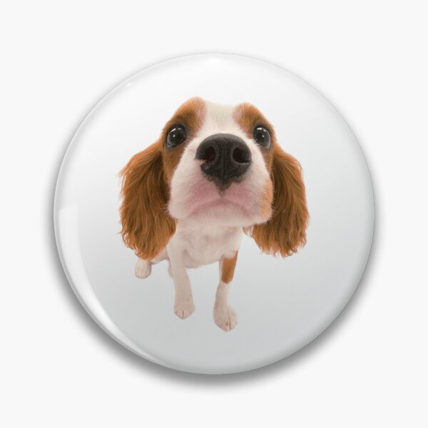Item preview, Cavalier King Charles designed and sold by KOTB10.
