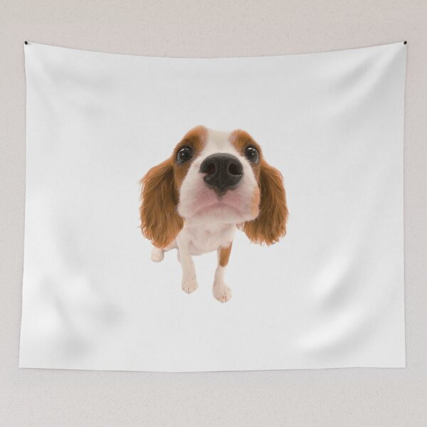Aperçu de l'œuvre Cavalier King Charles créée et vendue par KOTB10.