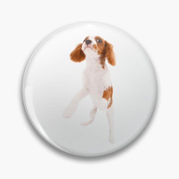 Item preview, Cavalier King Charles designed and sold by KOTB10.