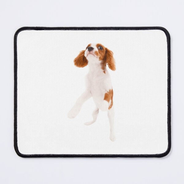 Item preview, Cavalier King Charles designed and sold by KOTB10.