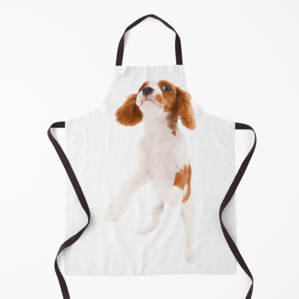 Item preview, Cavalier King Charles designed and sold by KOTB10.