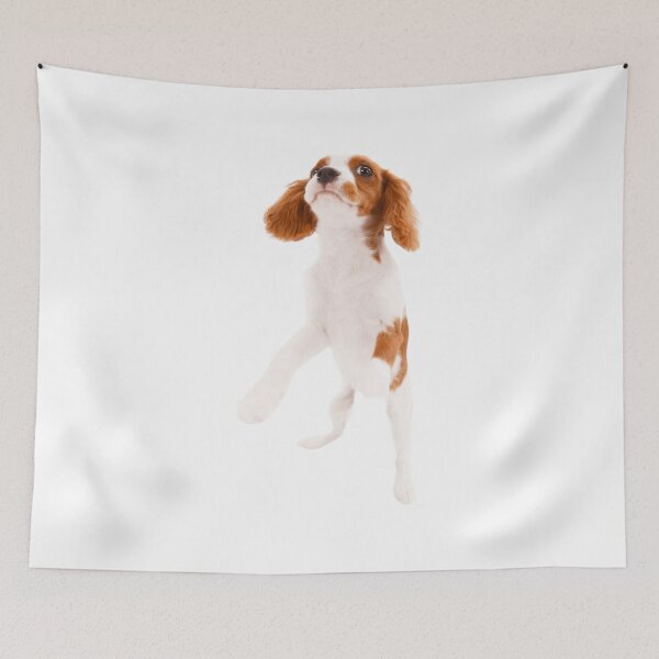 Item preview, Cavalier King Charles designed and sold by KOTB10.