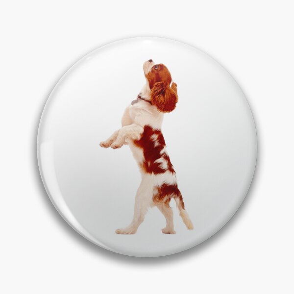 Item preview, Cavalier King Charles designed and sold by KOTB10.