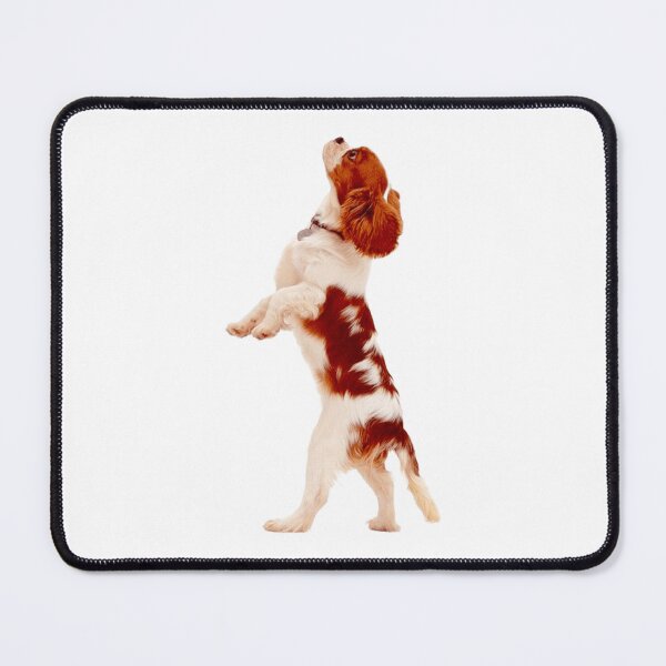 Item preview, Cavalier King Charles designed and sold by KOTB10.