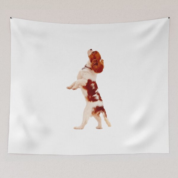 Item preview, Cavalier King Charles designed and sold by KOTB10.
