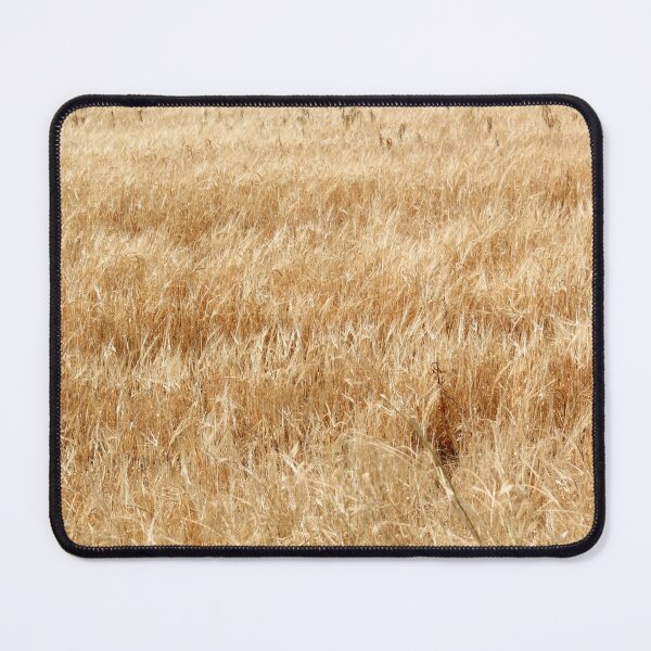 Item preview, Golden Summer Wheat Field Texture designed and sold by Guim-de-Pablos.