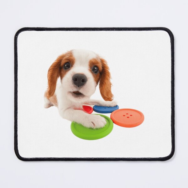 Item preview, Cavalier King Charles designed and sold by KOTB10.