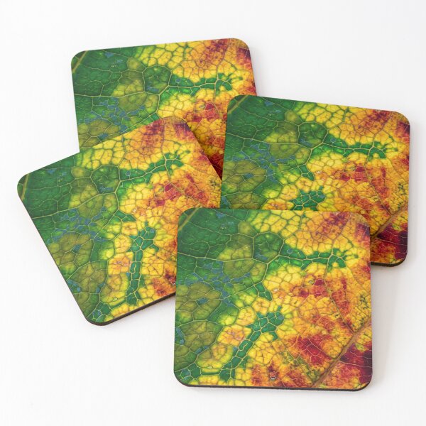 Item preview, Summer Hadn't Left Yet designed and sold by ASSEMBLE WONDER.