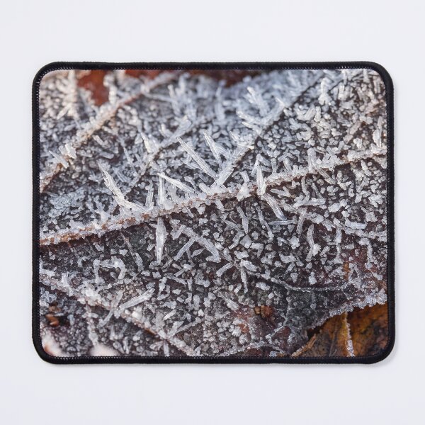 Item preview, Morning Wrote in Glass designed and sold by Assemble Wonder.
