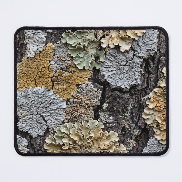 Item preview, What Quietly Took the Surface designed and sold by ASSEMBLE WONDER.