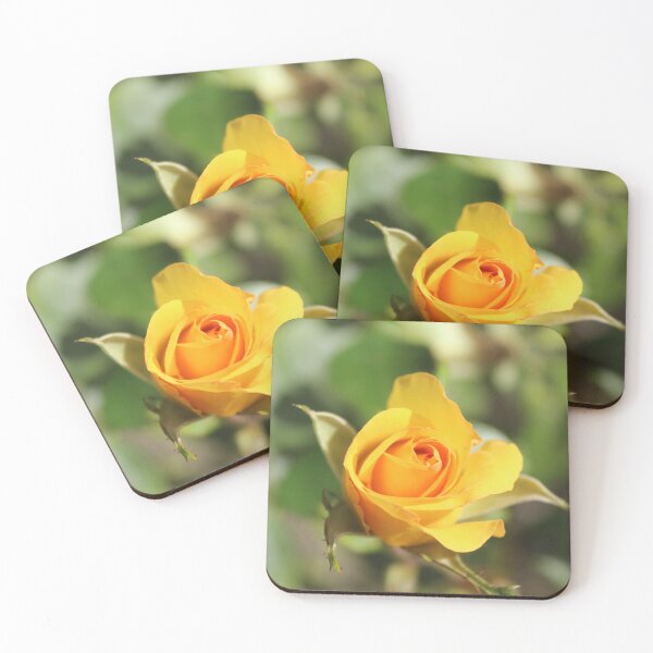 Item preview, Bright yellow rose flower macro - Soft nature photography designed and sold by Cha-s-lens.