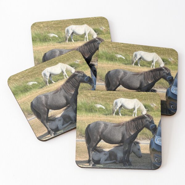 Item preview, Dartmoor ponies finding shade in the heatwave designed and sold by WorthDesigns.