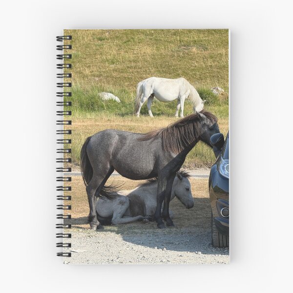 Item preview, Dartmoor ponies finding shade in the heatwave designed and sold by WorthDesigns.