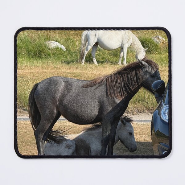 Item preview, Dartmoor ponies finding shade in the heatwave designed and sold by WorthDesigns.
