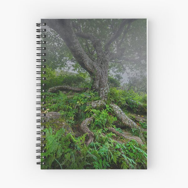 Item preview, A Misty Twilight on Craggy Pinnacle designed and sold by James Hoffman.