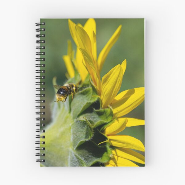 Item preview, Bee on a sunflower, covered in pollen designed and sold by kathleenjean.