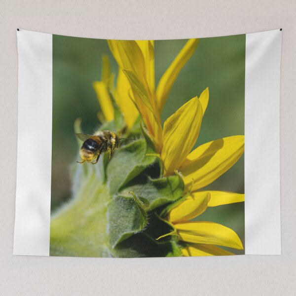 Item preview, Bee on a sunflower, covered in pollen designed and sold by kathleenjean.