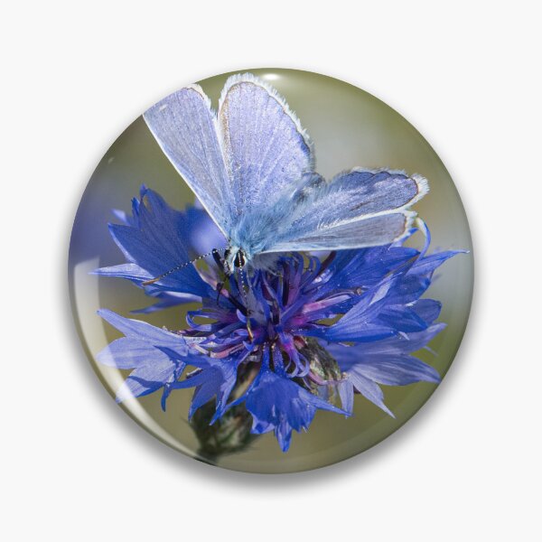 Artikelvorschau, Gemeiner Bläuling auf einer blauen Blume entworfen und verkauft von kathleenjean.