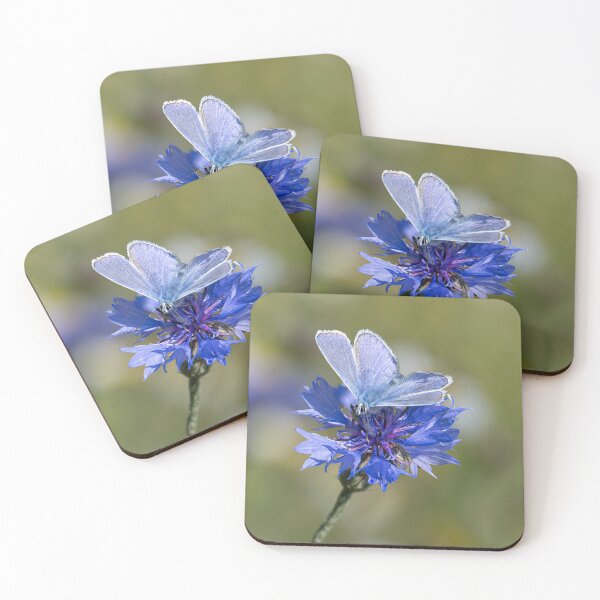 Item preview, common blue butterfly, on a blue flower designed and sold by kathleenjean.
