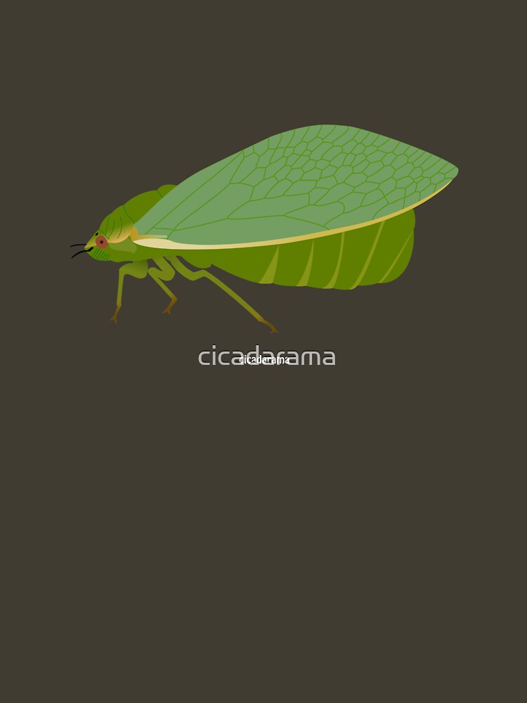 Bladder Cicada (cicadarama) by cicadarama