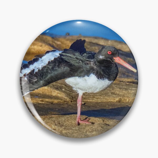 Item preview, The Oystercatcher designed and sold by Tom McPherson Photography.
