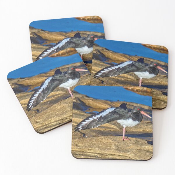 Item preview, The Oystercatcher designed and sold by Tom McPherson Photography.