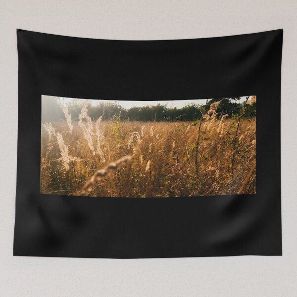 Item preview, Golden Hour Meadow Field Landscape Canvas Print | Sunlit Wild Grasses Photography Poster | Warm Sunset Countryside Wall Art | Organic Nature Decor designed and sold by SergioMiklos.