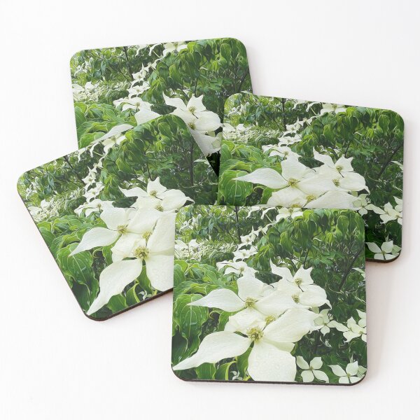 Item preview, Kousa Japanese Dogwood After the Rain designed and sold by The She Shed.