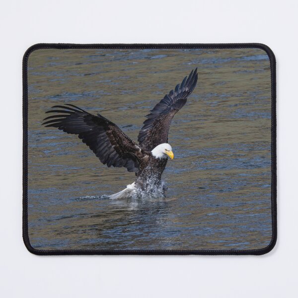 Item preview, Splash Landing designed and sold by DawsonImages.