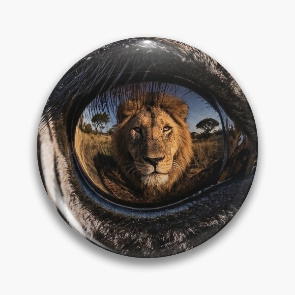 Item preview, Staring death in the face zebra/lion designed and sold by Franksy420.