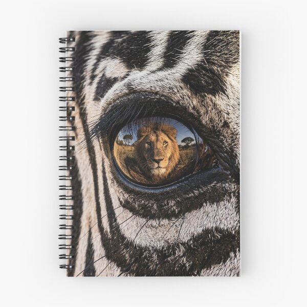 Item preview, Staring death in the face zebra/lion designed and sold by Franksy420.