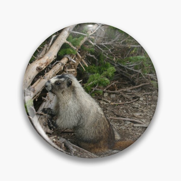 Item preview, Marmot designed and sold by CarolM.