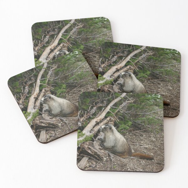 Item preview, Marmot designed and sold by CarolM.