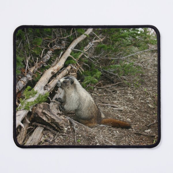 Item preview, Marmot designed and sold by CarolM.