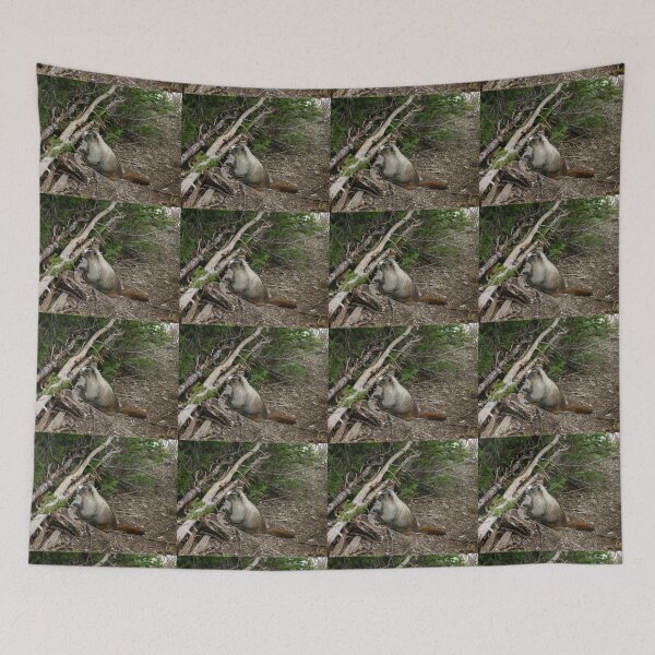 Item preview, Marmot designed and sold by CarolM.